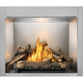 Napoleon Riverside 42 Outdoor Gas Fireplace